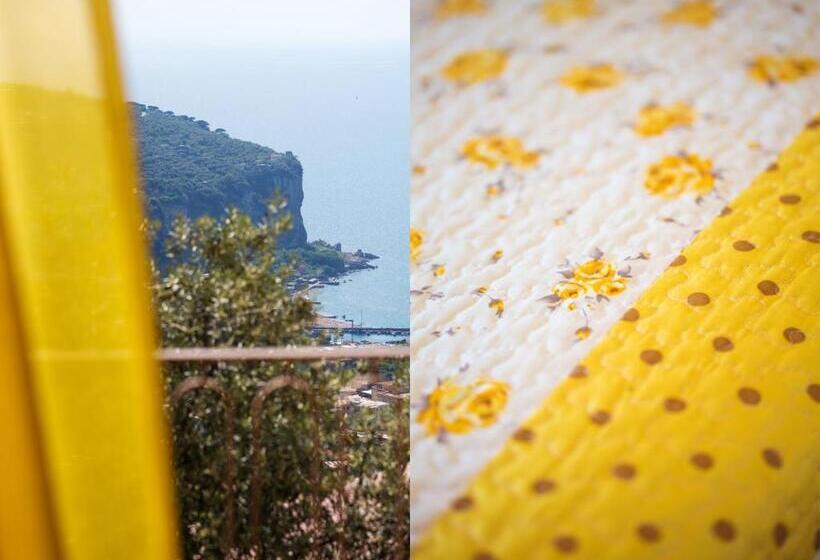 膳宿费 L Ulivo Resort