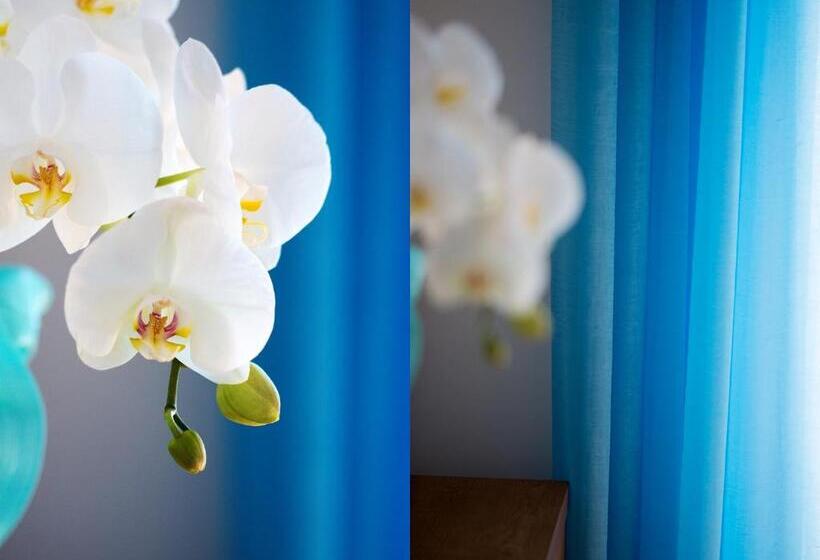 膳宿费 L Ulivo Resort