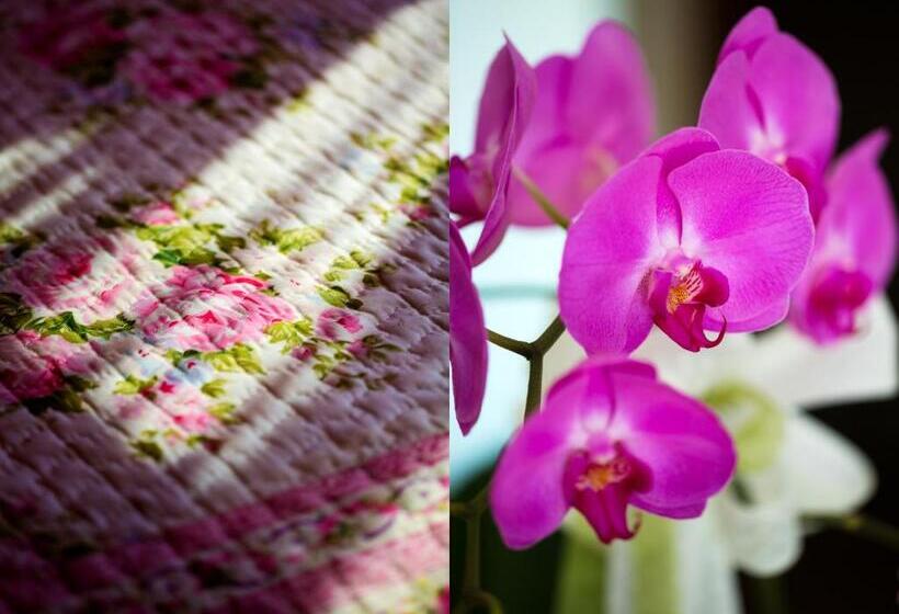 膳宿费 L Ulivo Resort