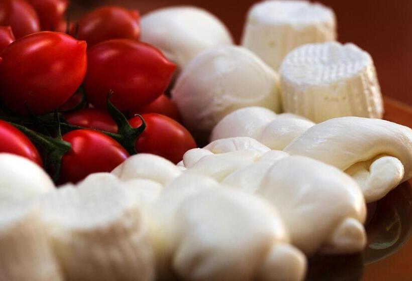 膳宿费 L Ulivo Resort