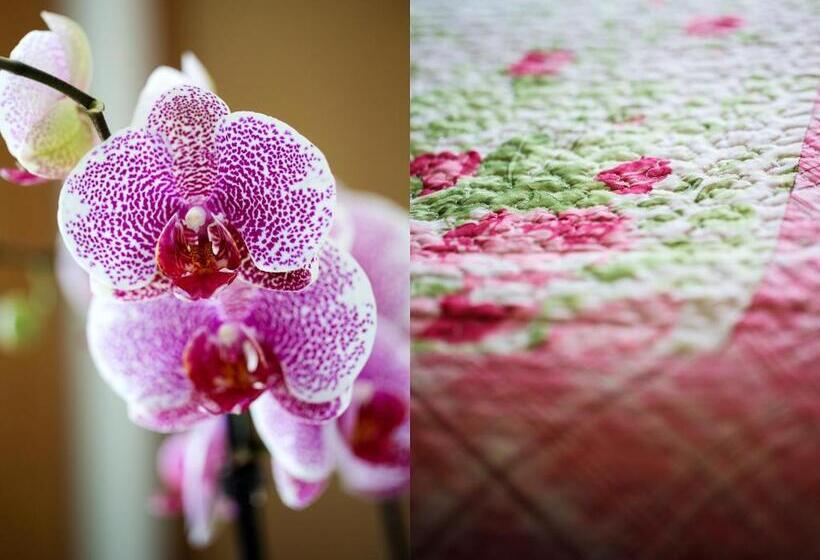 膳宿费 L Ulivo Resort