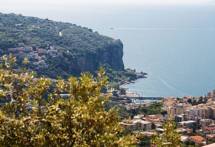 膳宿费 L Ulivo Resort