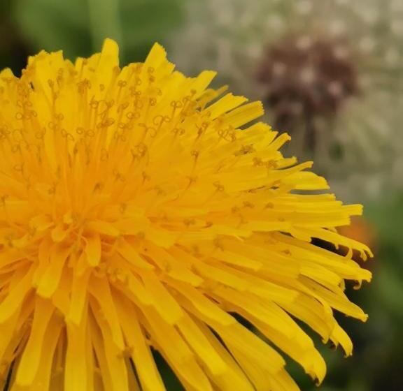 膳宿费 L Ulivo Resort