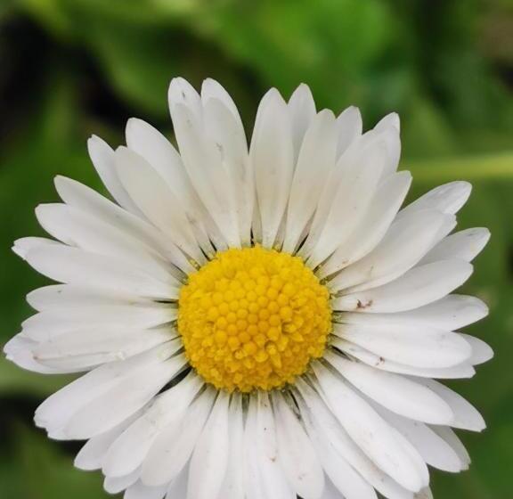 膳宿费 L Ulivo Resort