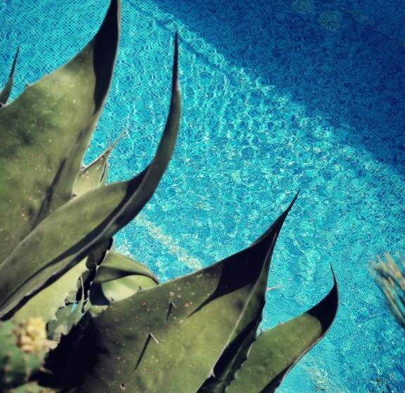 膳宿费 L Ulivo Resort