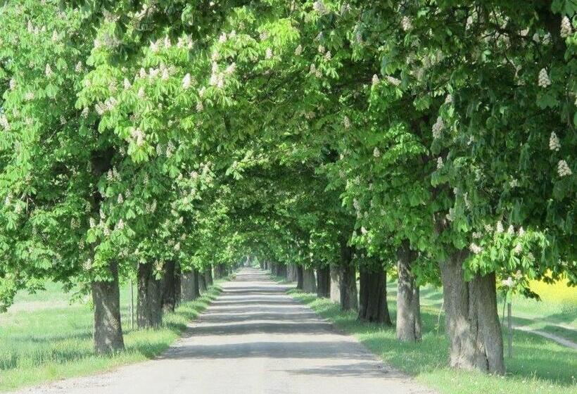 펜션 Lipót Termál Vendégszoba