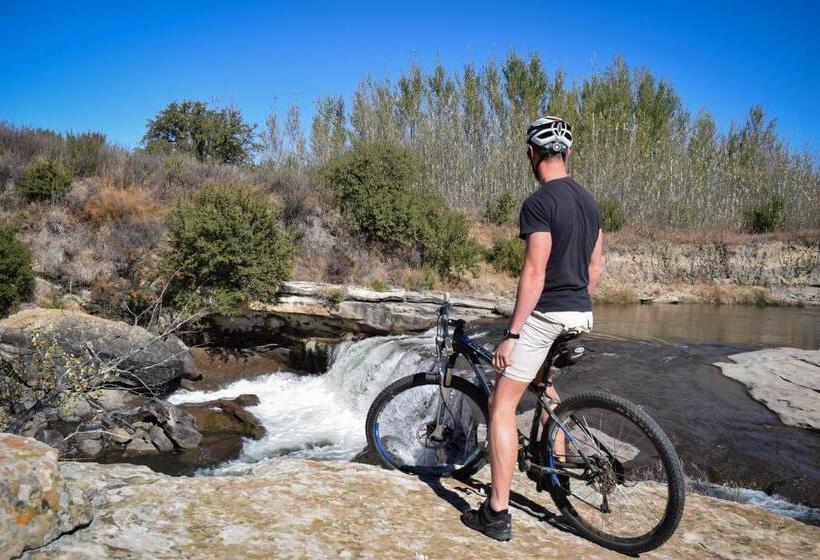 بنسيون Merino Guest Farm