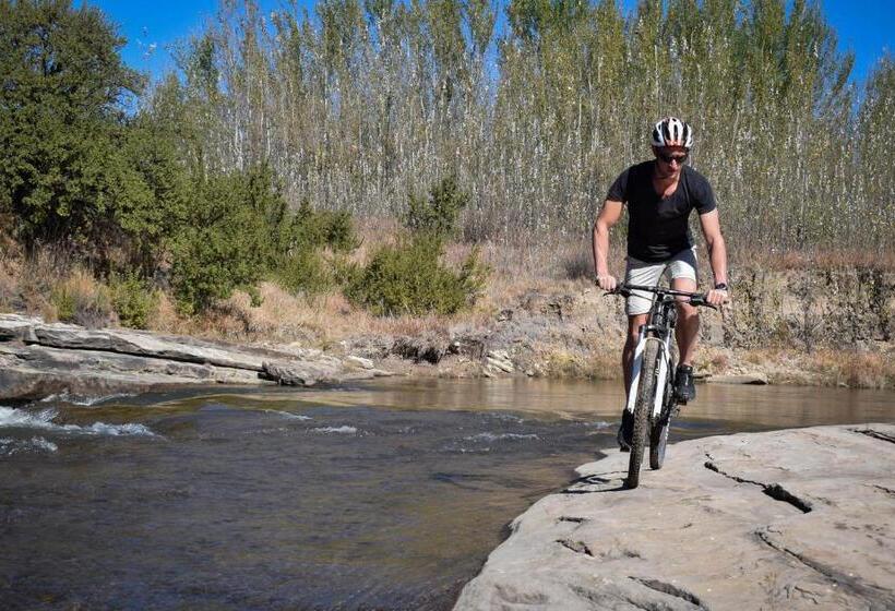 بنسيون Merino Guest Farm