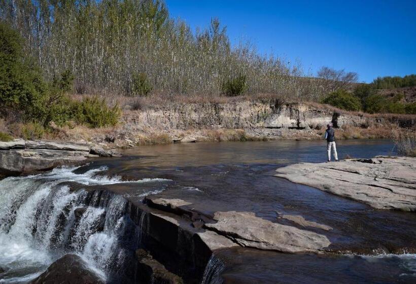 بنسيون Merino Guest Farm