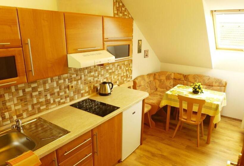 بنسيون Penzion Rogallo