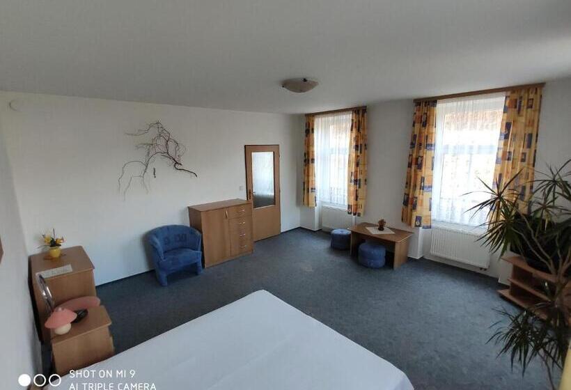 Пансион Rodinný Penzion U Wolfů