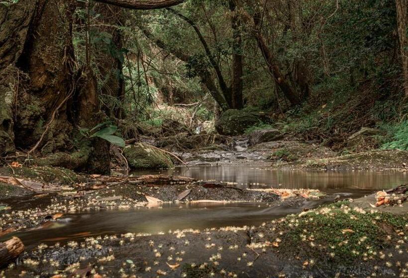 膳宿费 Serenity Mountain And Forest Lodge