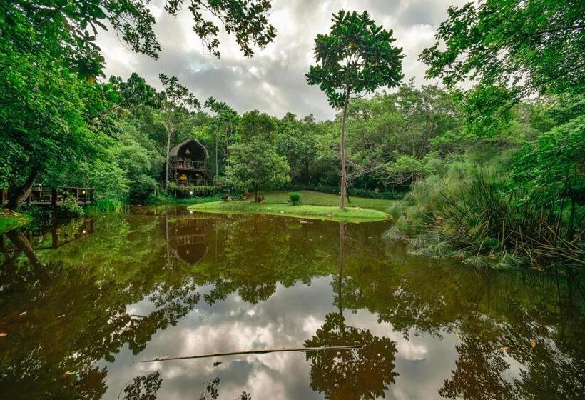膳宿费 Serenity Mountain And Forest Lodge