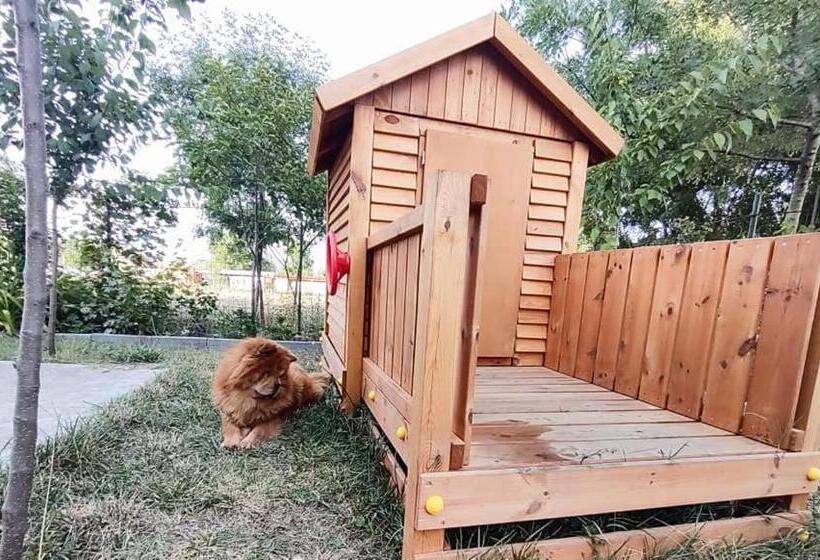 Пансион Tangra Guest House