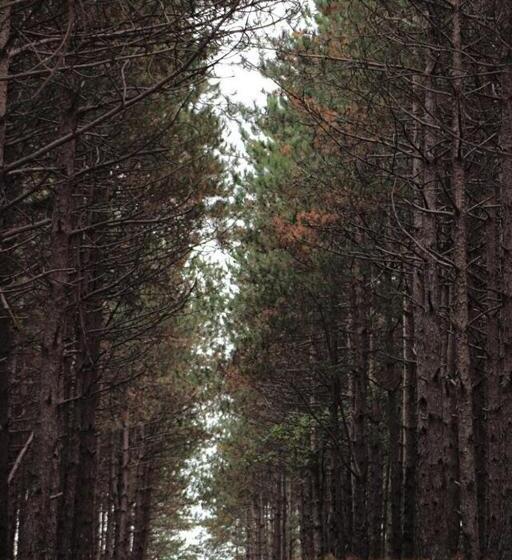 Пансион Tangra Guest House