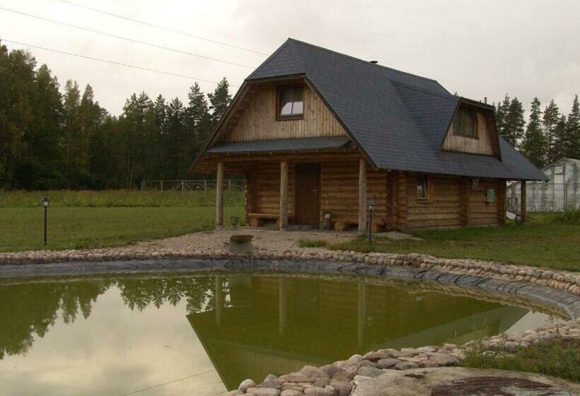 膳宿费 Turaidas Zieds