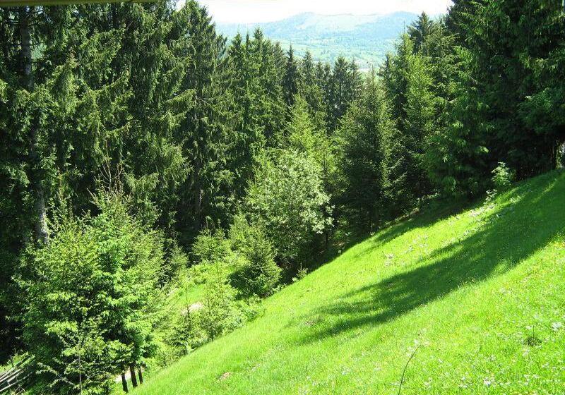 Pension Cabana Ionela