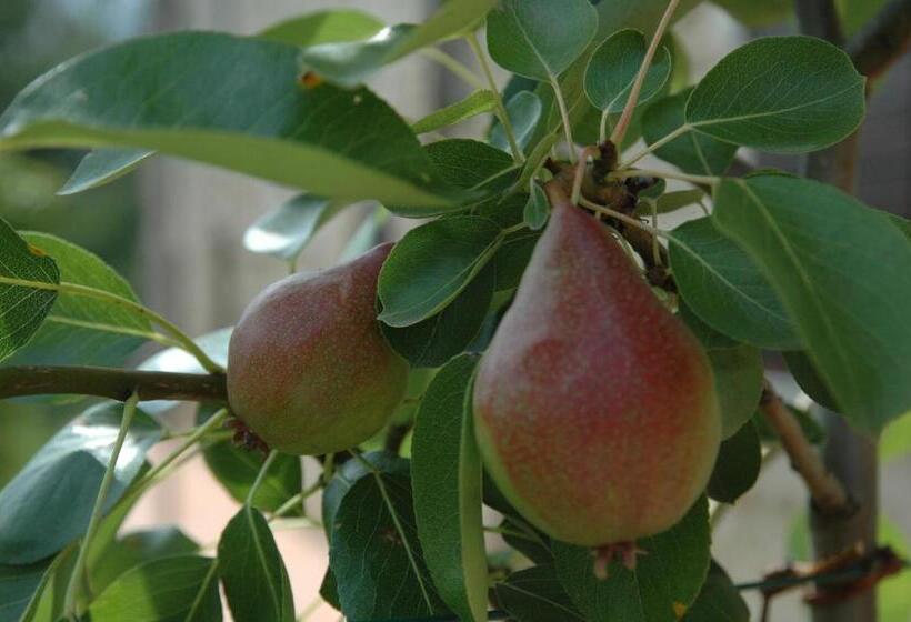 Agriturismo I Gelsi Di Santa Cristina