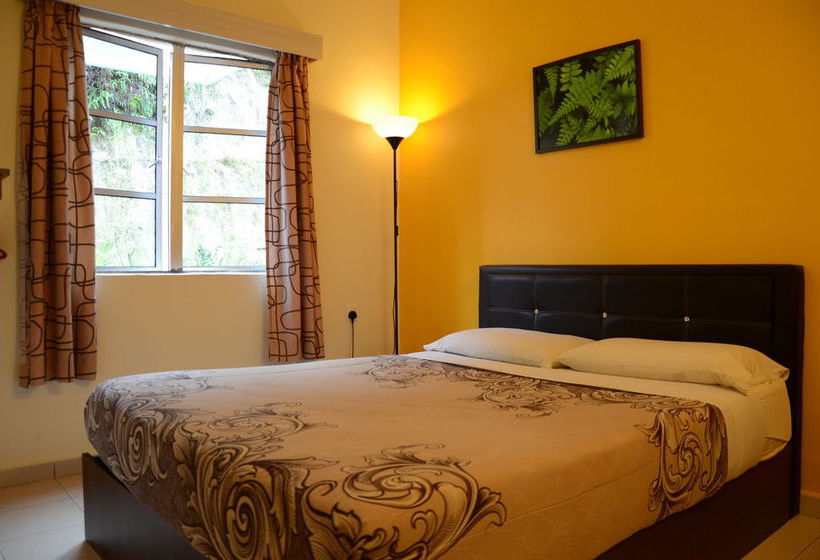 هاستل Father S Guest House