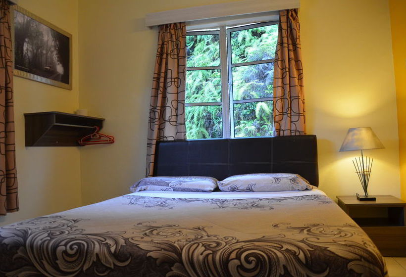 فندق صغير Father S Guest House