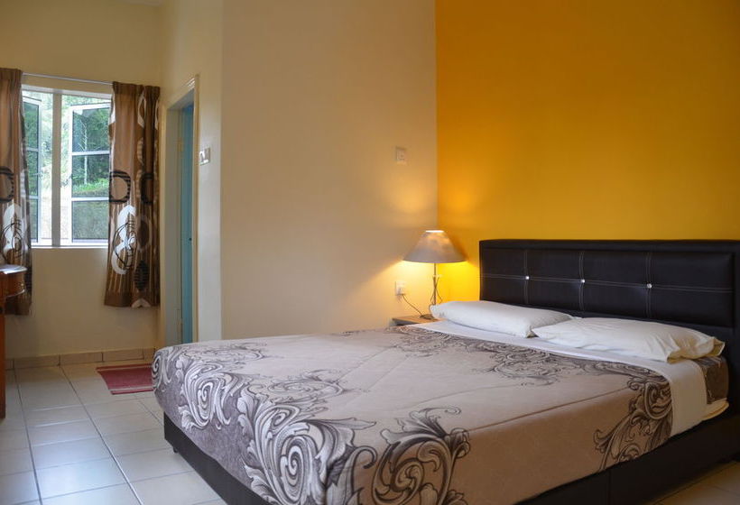 فندق صغير Father S Guest House