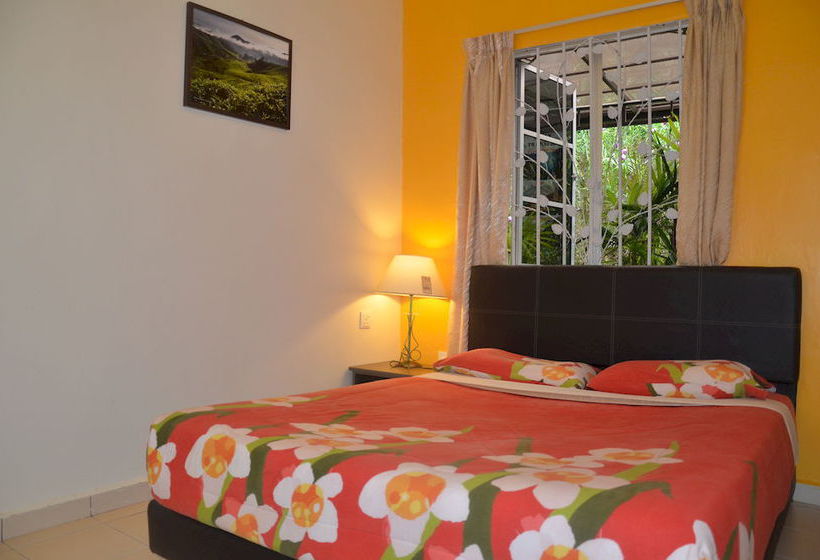 هاستل Father S Guest House