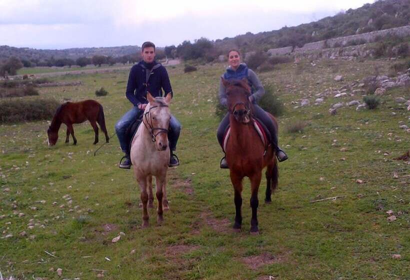 ベッドアンドブレックファースト Borgo Del Carato