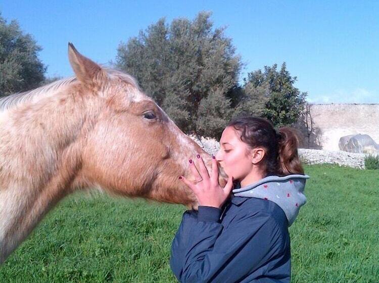 ベッドアンドブレックファースト Borgo Del Carato