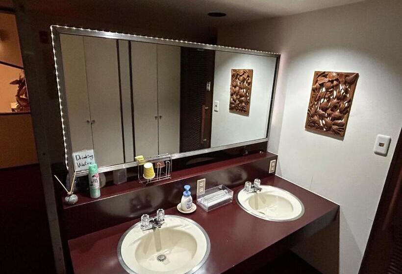 住宿加早餐  Niseko Pension Bellary