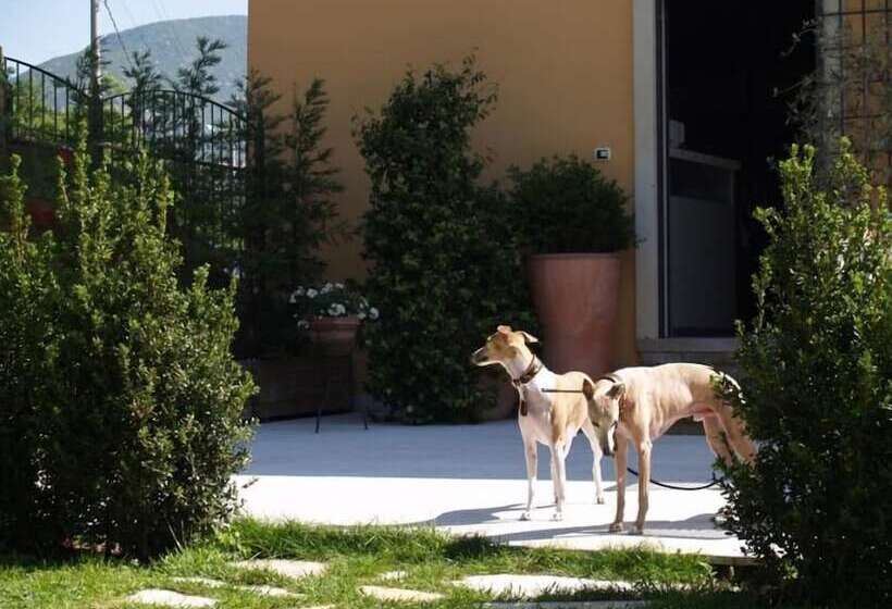 Bed and Breakfast Relais San Michele