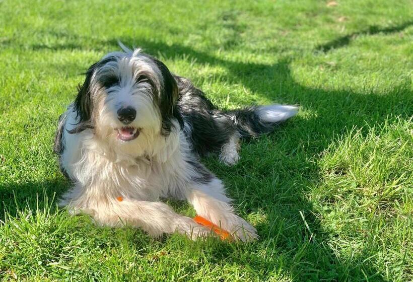 تختخواب و صبحانه The Racecourse Inn