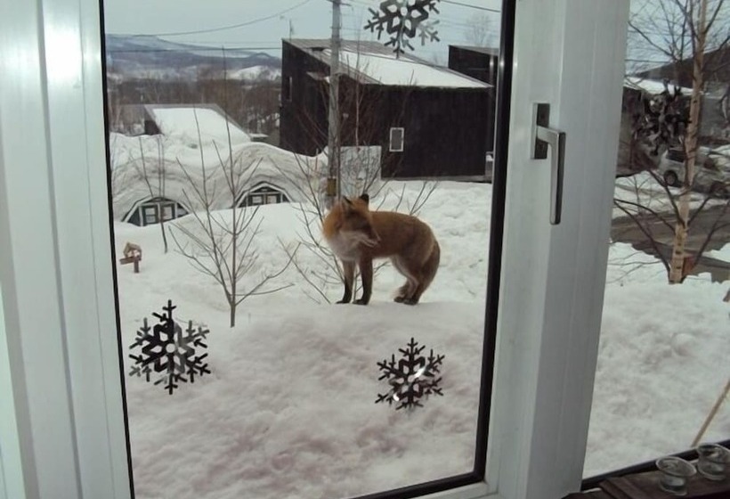 Bed and Breakfast The Red Ski House