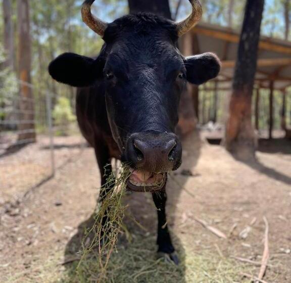 Chiltern Lodge Country Retreat