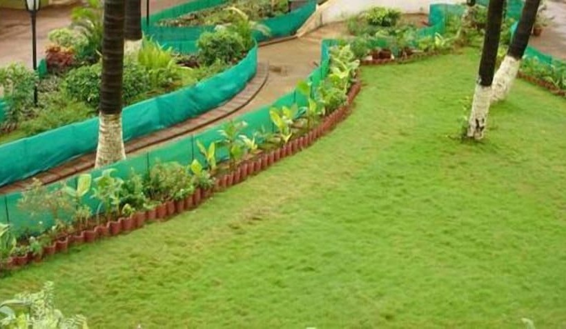 Golden Swan Beach Resort