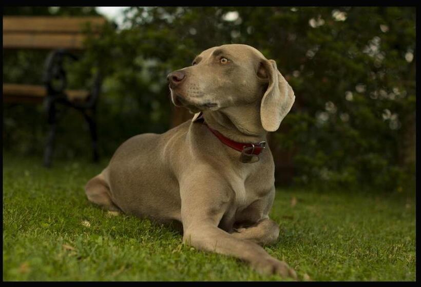 בית מלון כפרי Agriturismo Monte A Pescia