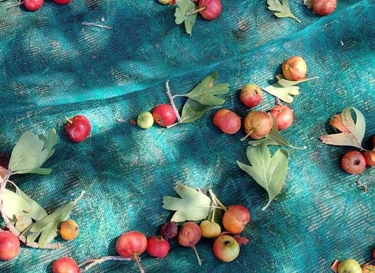 هتل Agriturismo Terra Di Pace