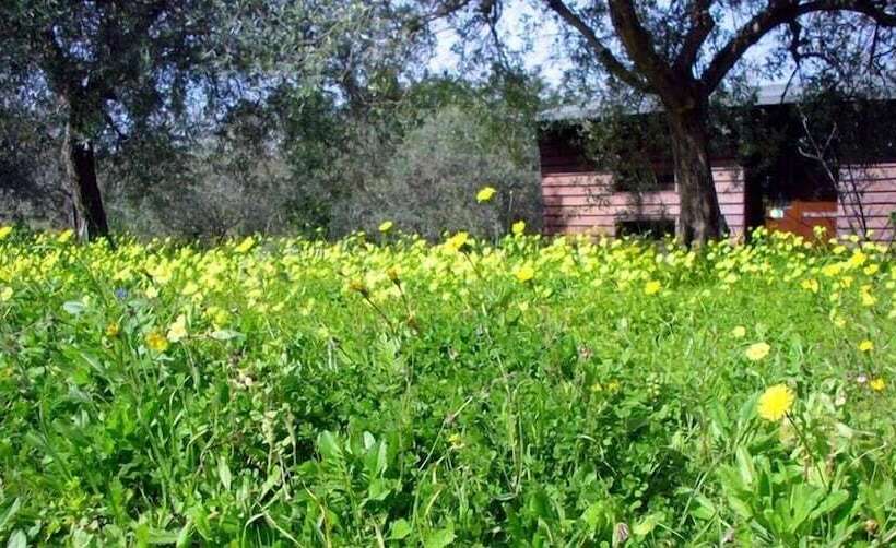 هتل Agriturismo Terra Di Pace