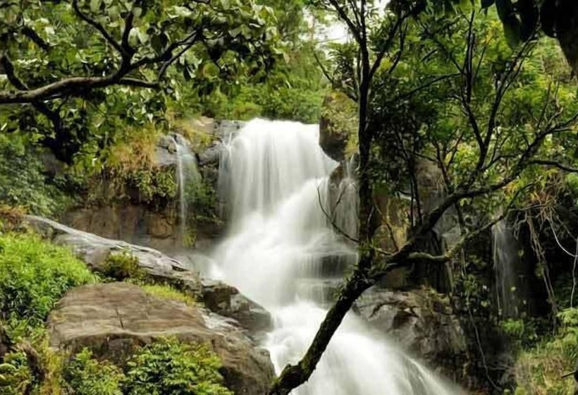 酒店 Banasura Hill Resort