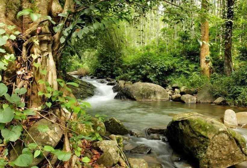 Отель Banasura Hill Resort