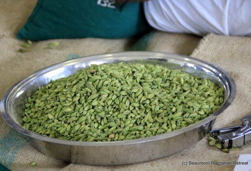 ホテル Beaumont Plantation Retreat