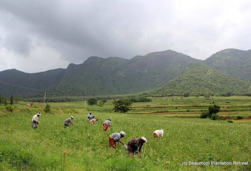 فندق Beaumont Plantation Retreat