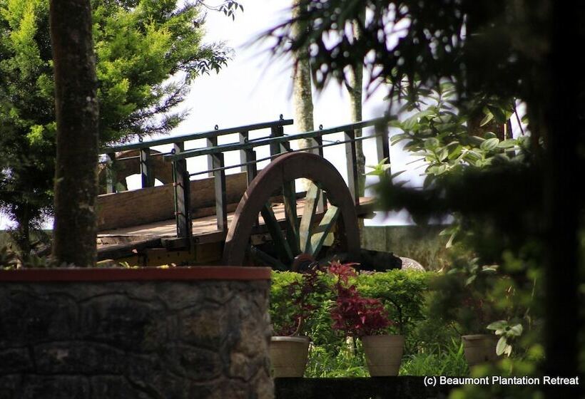 ホテル Beaumont Plantation Retreat