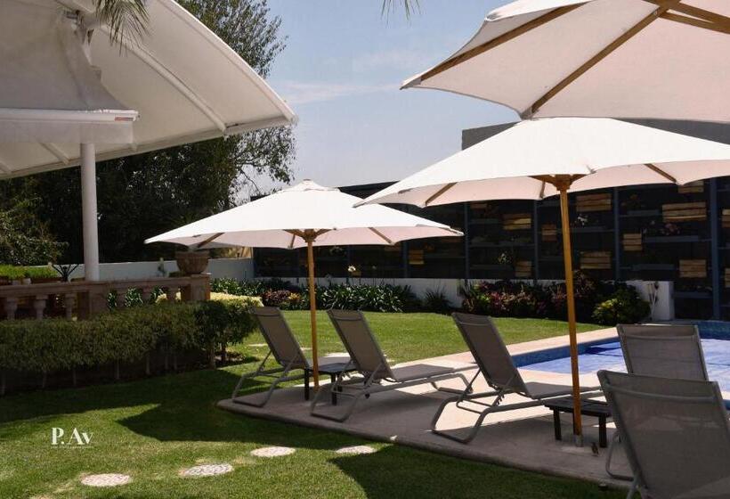 Отель Del Pescador