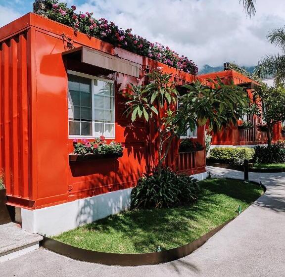 Отель Del Pescador