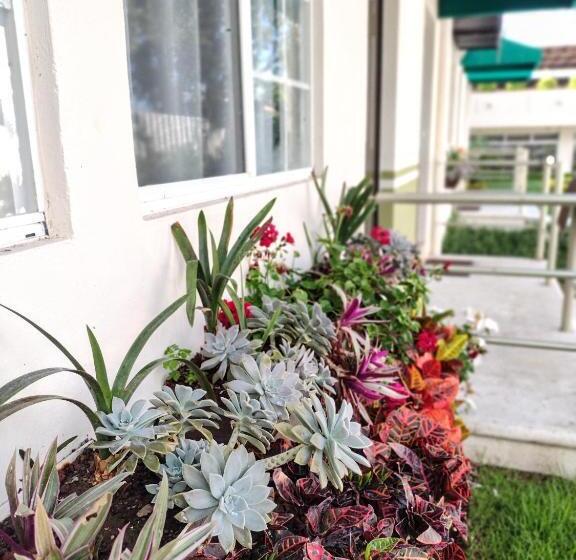 Отель Del Pescador