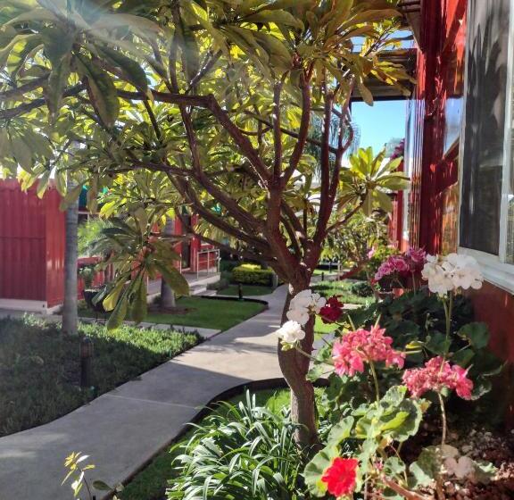 Отель Del Pescador