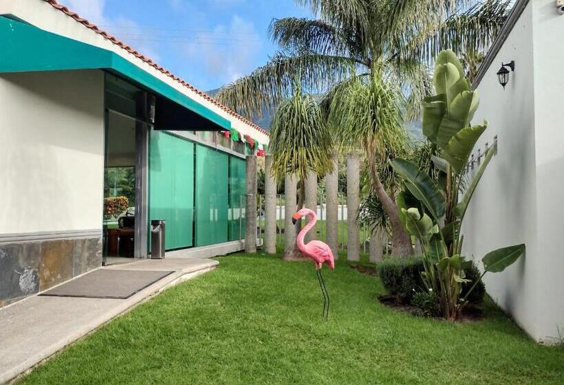 Отель Del Pescador