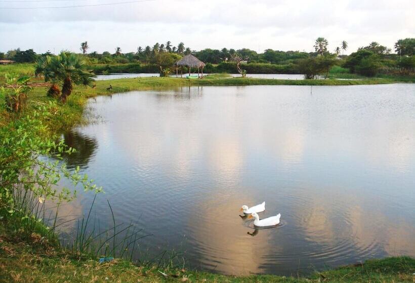 בית מלון כפרי Delta Park