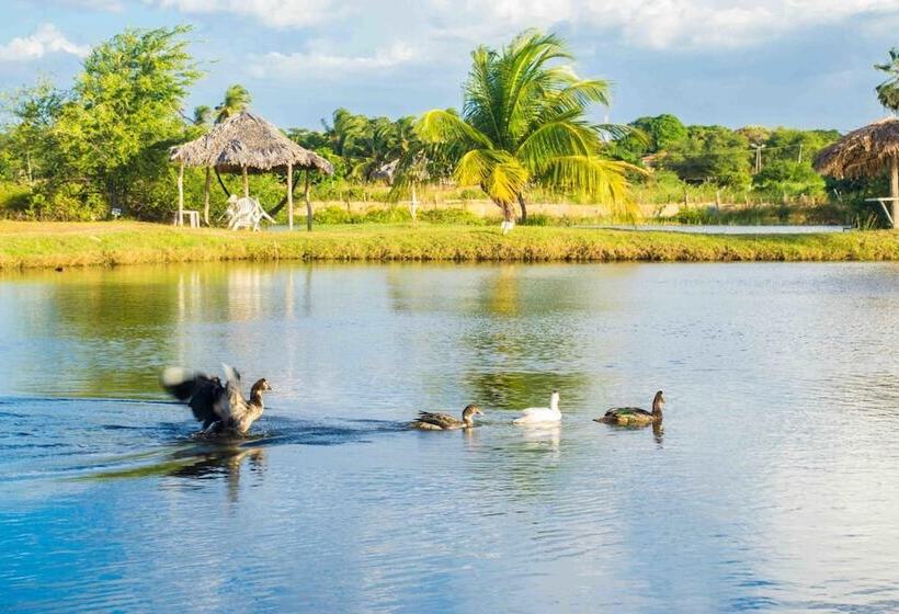 בית מלון כפרי Delta Park