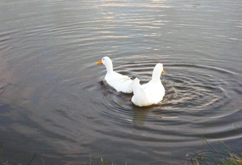 בית מלון כפרי Delta Park